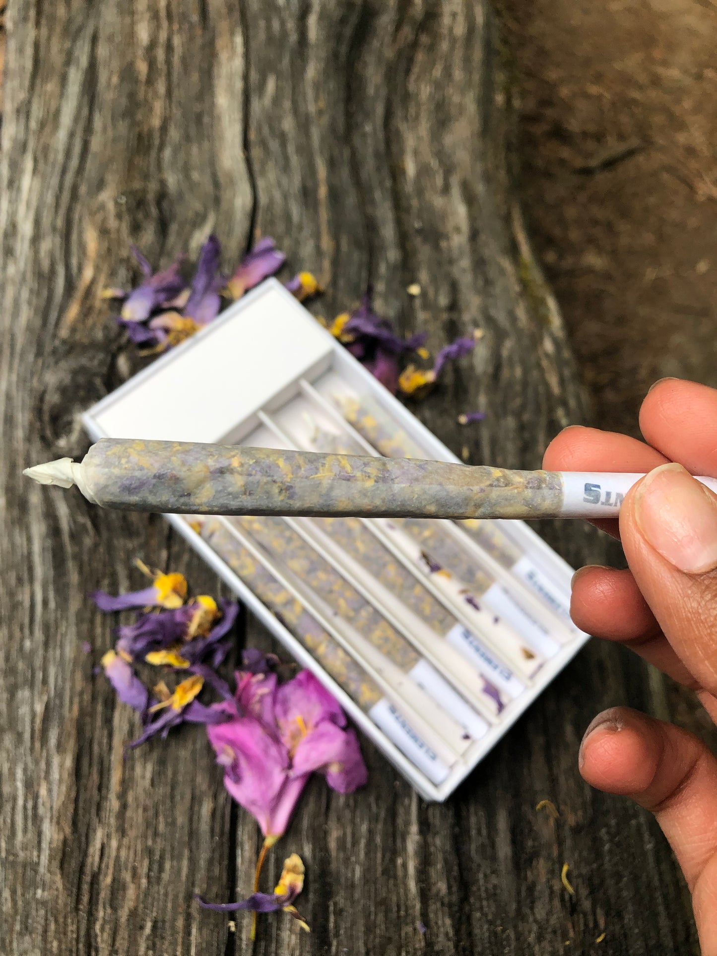 Egyptian Blue Lotus Pre - Rolled